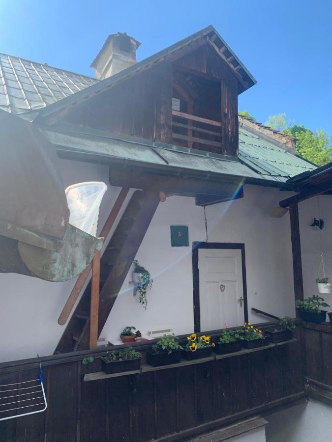 Loft Natalya Gold Lägenhet Český Krumlov Exteriör bild